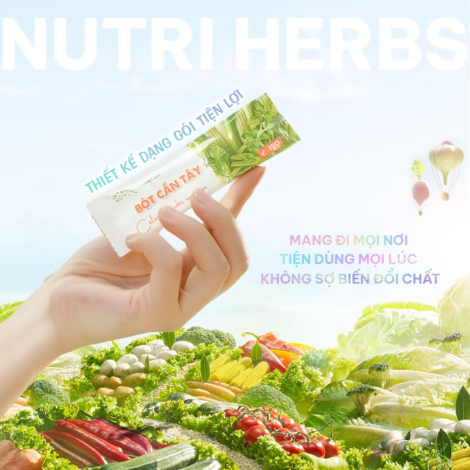 [ Combo 2 Giá Hời ] Bột Cần Tây Nguyên Chất Nutri HERBS Không Đường - Hộp 24 Gói x 3 Gram