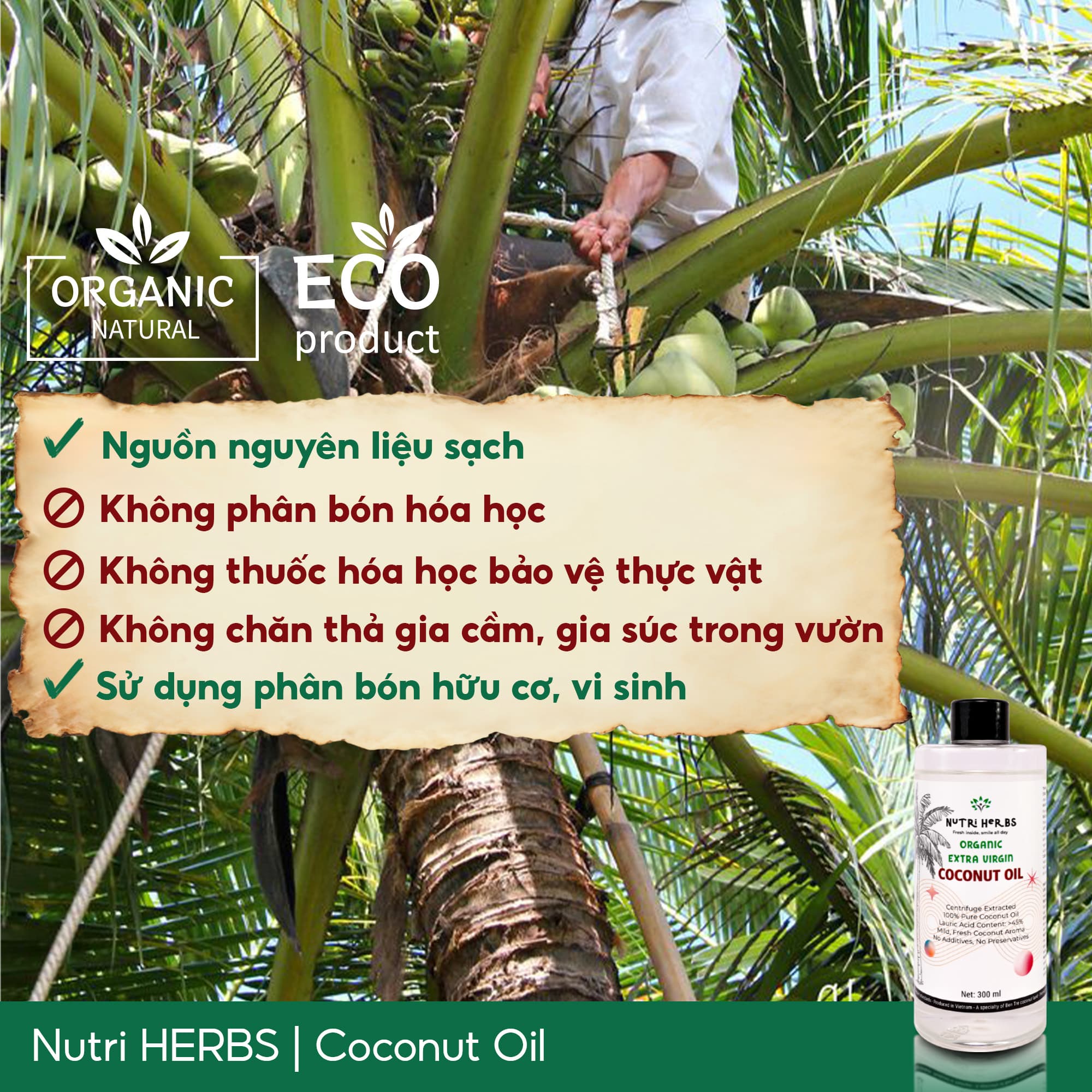 Dầu Dừa Tinh Khiết Nutri HERBS Nguyên Chất - Súc Miệng Giảm Mùi Hôi, Chăm Sóc Da, Tóc - Chai 300ml