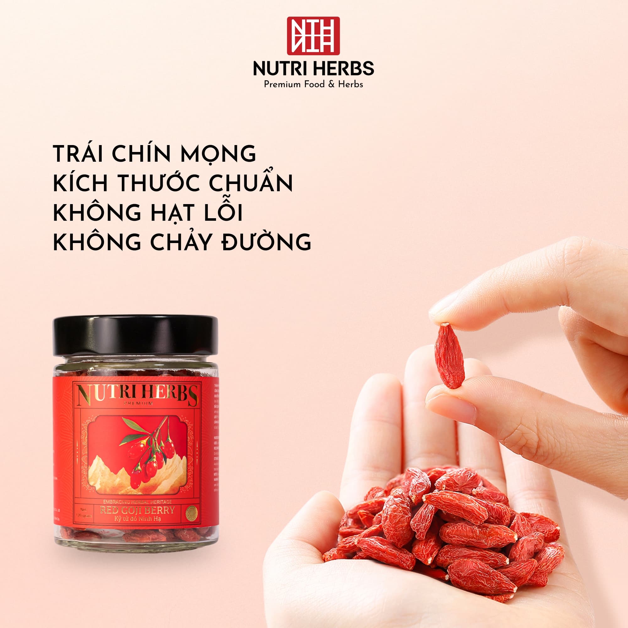 Kỷ Tử Ninh Hạ Sấy Mộc Nutri Herbs – Loại Thượng Hạng, Quả To Đỏ Đều Sang Trọng Làm Quà Tặng Lọ 120g